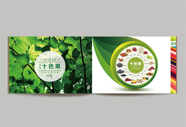 合肥画册印刷_合肥产品画册手册设计_食品画册设计3